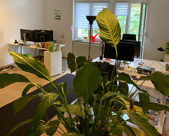 Schönes Büro Design in Karlsruhe